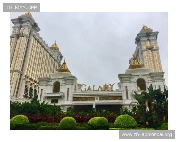 澳门上普京官网最新消息，全面解析普京在澳门的官方活动与动态